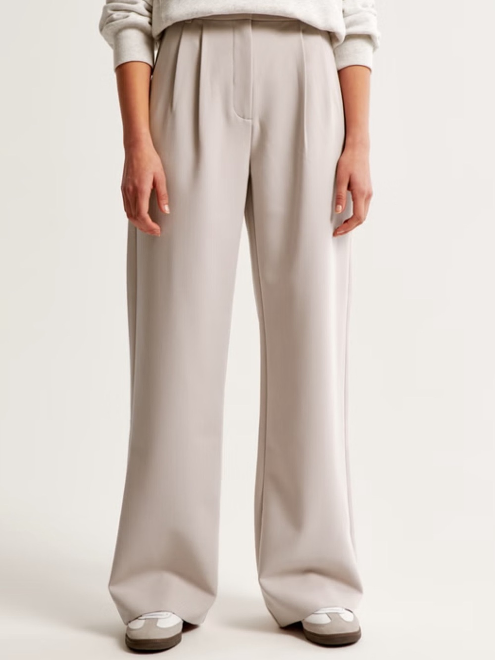 Abercrombie Wide-Leg Pleated Pants in Light Taupe